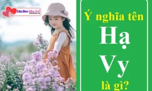 Hạ Vy Nghĩa Là Gì